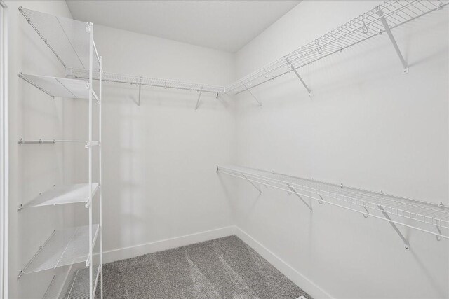 spacious closet with carpet