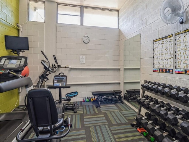 workout area featuring carpet floors