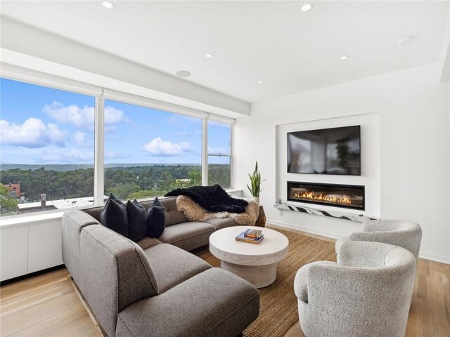 living room featuring light wood-type flooring