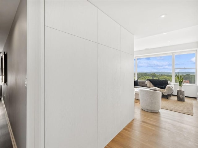 corridor featuring light hardwood / wood-style flooring