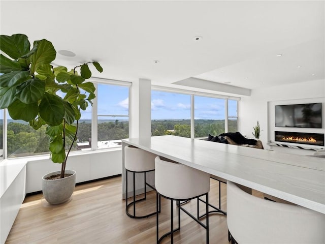 dining area featuring light wood-type flooring