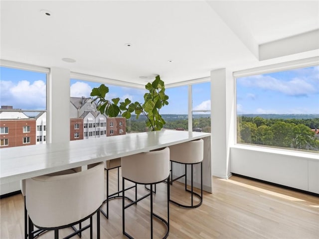 dining area featuring light hardwood / wood-style flooring