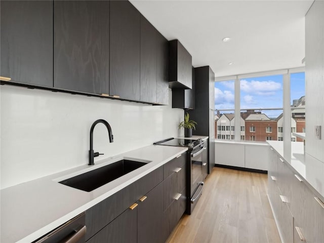 kitchen with electric range oven, light hardwood / wood-style floors, sink, and dishwasher