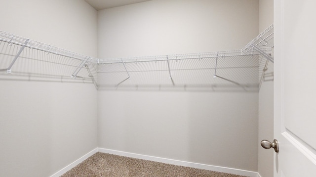 spacious closet with carpet