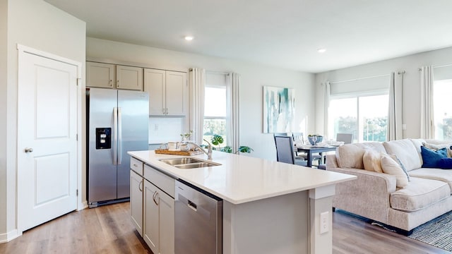 kitchen with light wood-style flooring, a sink, open floor plan, stainless steel appliances, and light countertops