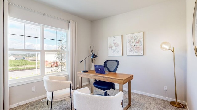 office area featuring baseboards and carpet