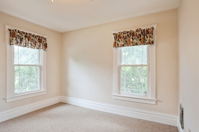 carpeted empty room featuring a wealth of natural light