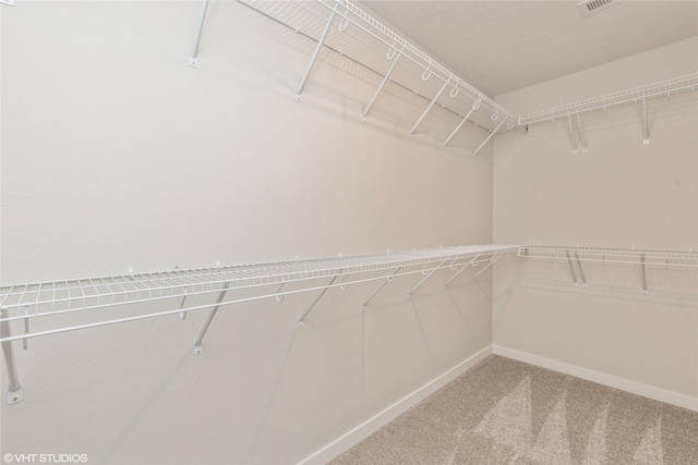 spacious closet featuring carpet