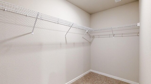 spacious closet featuring carpet flooring