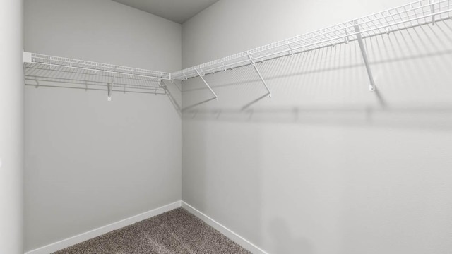 spacious closet with carpet floors