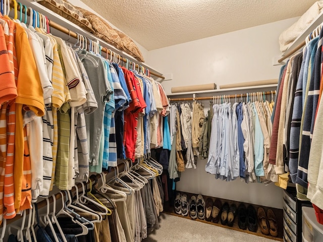 spacious closet featuring carpet