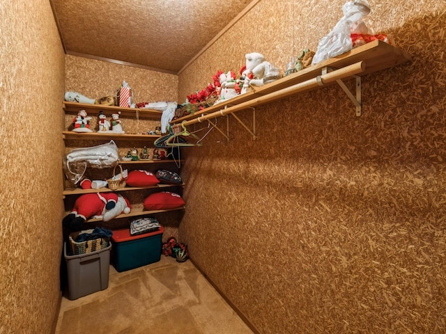 walk in closet with carpet floors