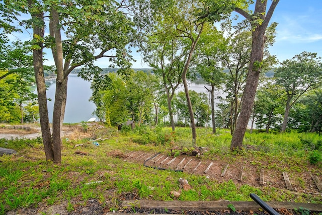 view of local wilderness with a water view