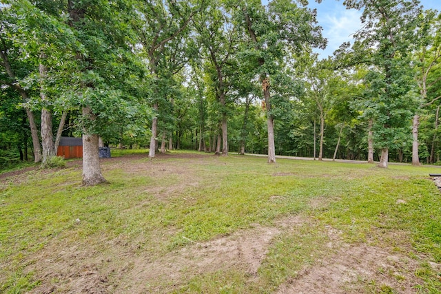 view of yard with a storage shed