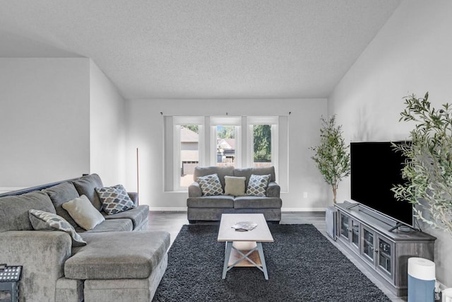 living area featuring a textured ceiling, baseboards, and wood finished floors