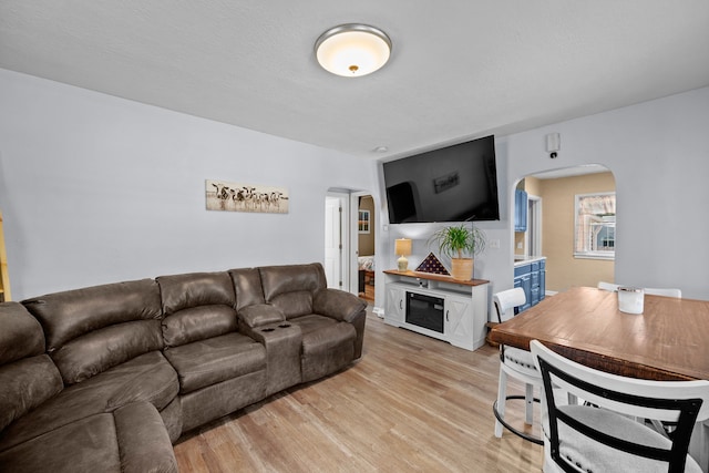 living room featuring light hardwood / wood-style floors