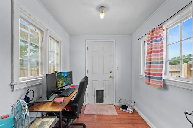 office space with hardwood / wood-style floors and ornamental molding