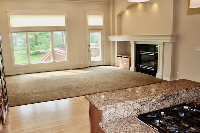 unfurnished living room with light wood-type flooring