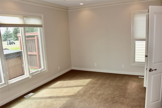 empty room with carpet, plenty of natural light, and ornamental molding