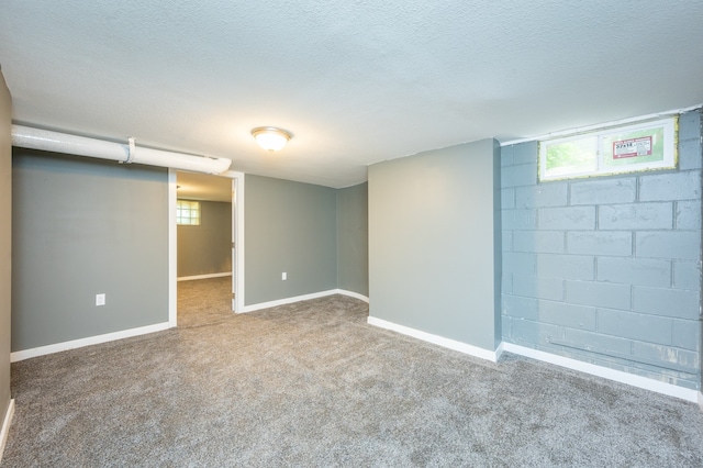 basement with carpet and a textured ceiling