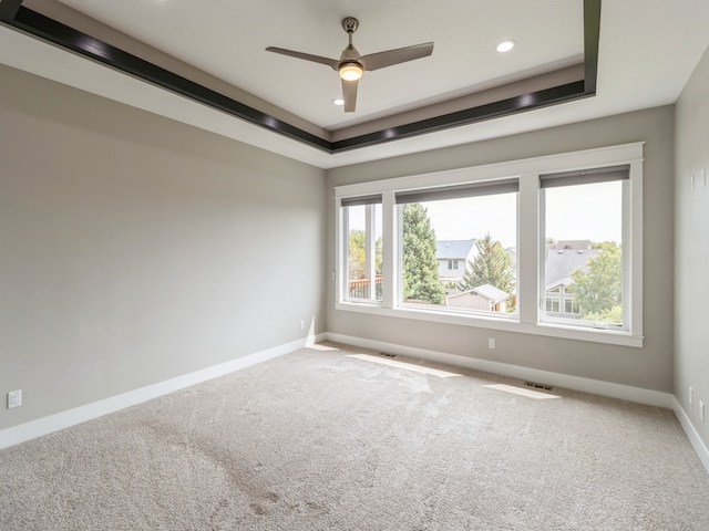 spare room featuring a wealth of natural light, carpet flooring, and a raised ceiling