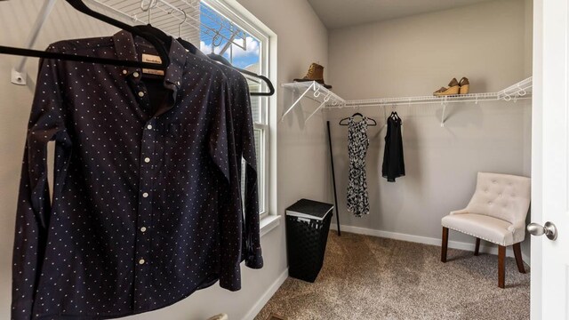 walk in closet with carpet