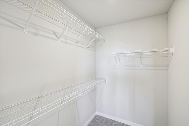 spacious closet with carpet flooring