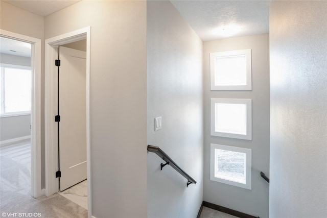 stairway with carpet flooring and a textured ceiling