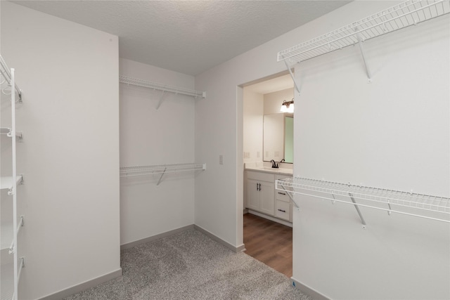 walk in closet featuring a sink and carpet flooring