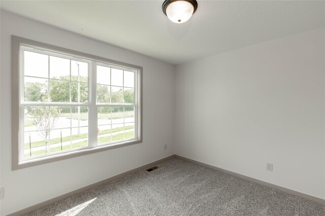 spare room featuring carpet floors