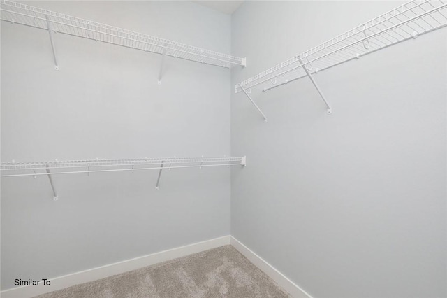 spacious closet with carpet