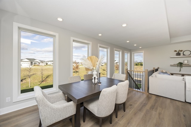 dining area with a wealth of natural light and wood-type flooring