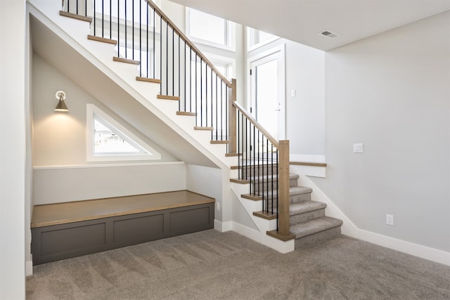 staircase with carpet