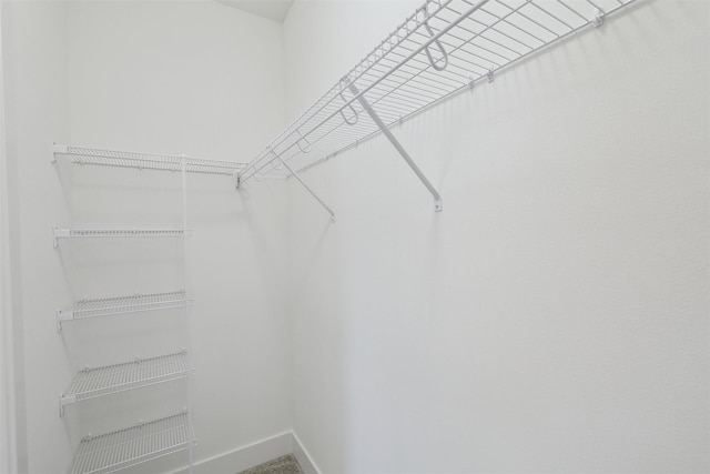 view of walk in closet