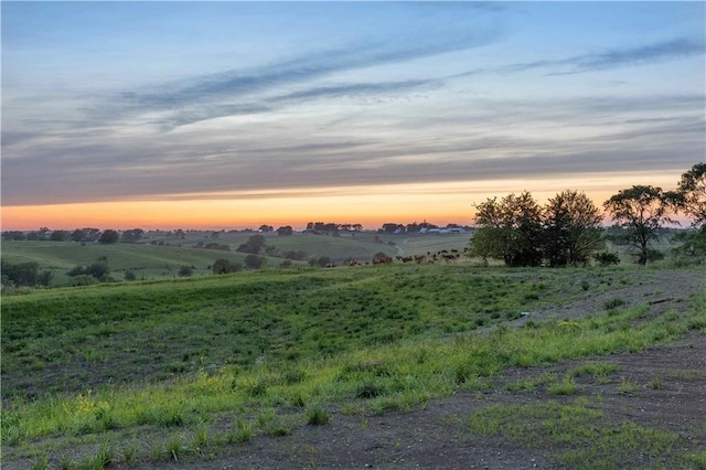 nature at dusk with a rural view