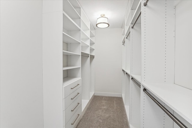 spacious closet featuring light carpet