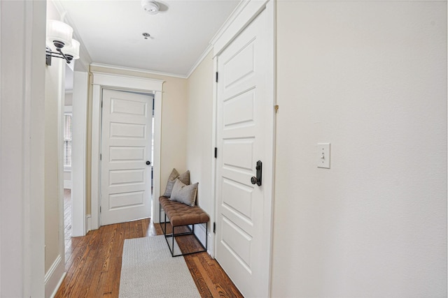 corridor with crown molding and dark wood-type flooring