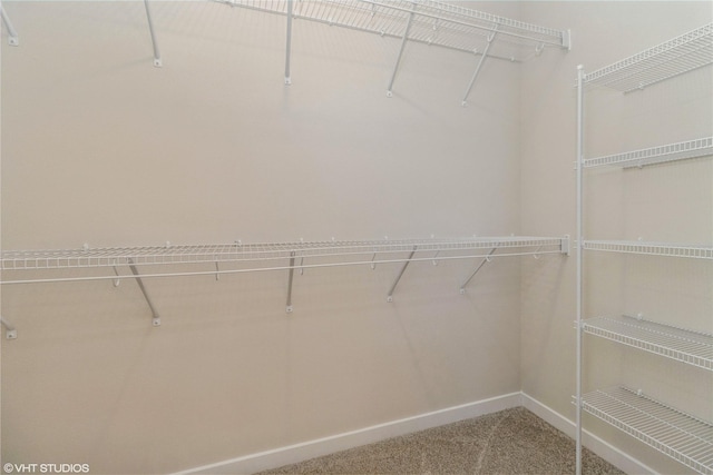 spacious closet featuring carpet floors