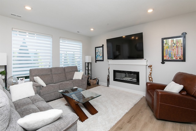 living room featuring light hardwood / wood-style floors