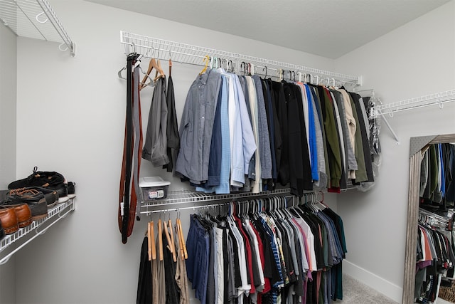 walk in closet featuring carpet flooring