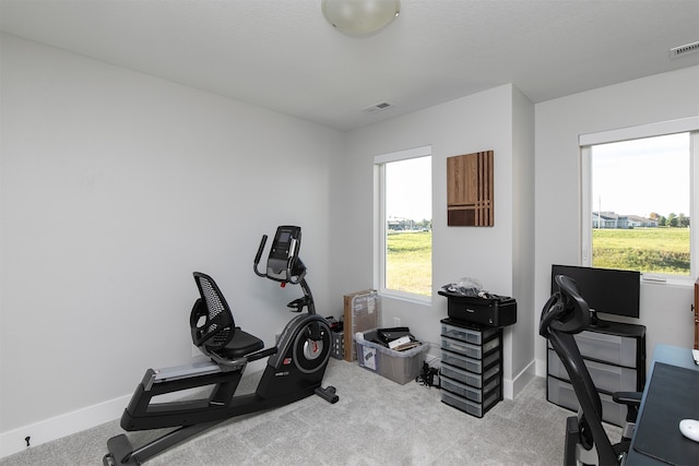 exercise room with light colored carpet