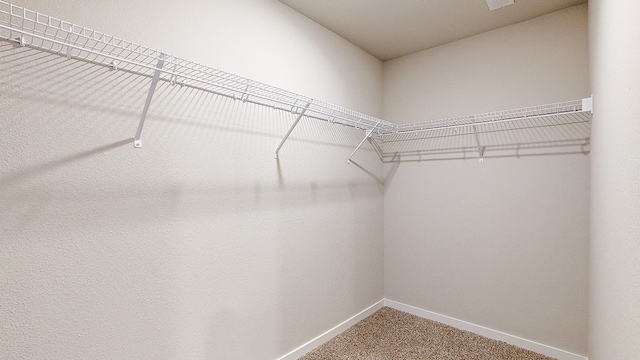 walk in closet with carpet flooring