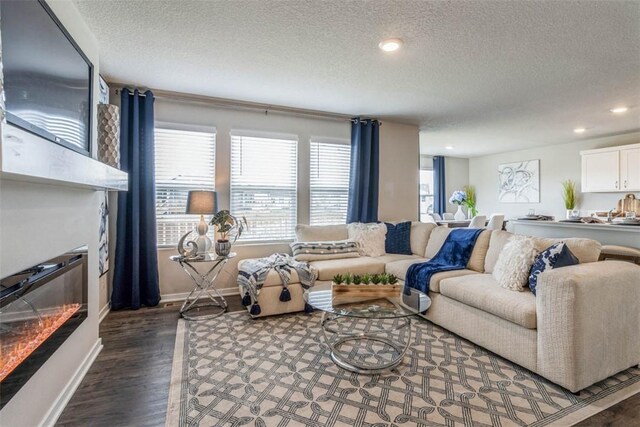 living room with a textured ceiling and dark hardwood / wood-style floors