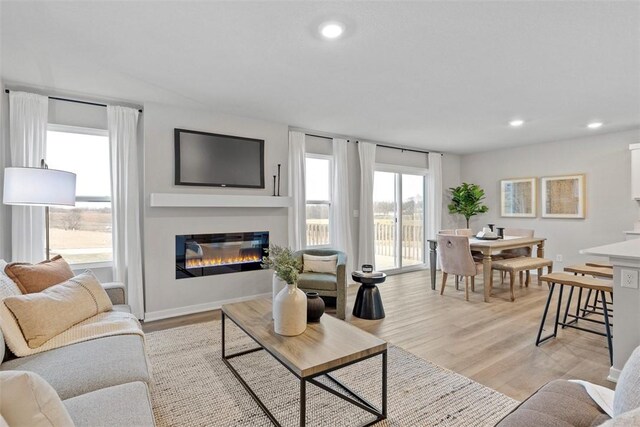 living room with light hardwood / wood-style flooring