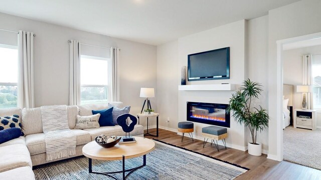 living room with plenty of natural light and hardwood / wood-style floors