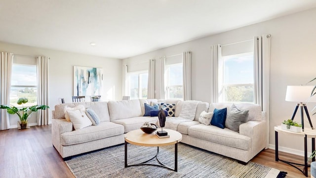 living area featuring plenty of natural light, baseboards, and wood finished floors