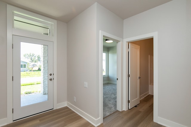 foyer featuring plenty of natural light and light hardwood / wood-style flooring