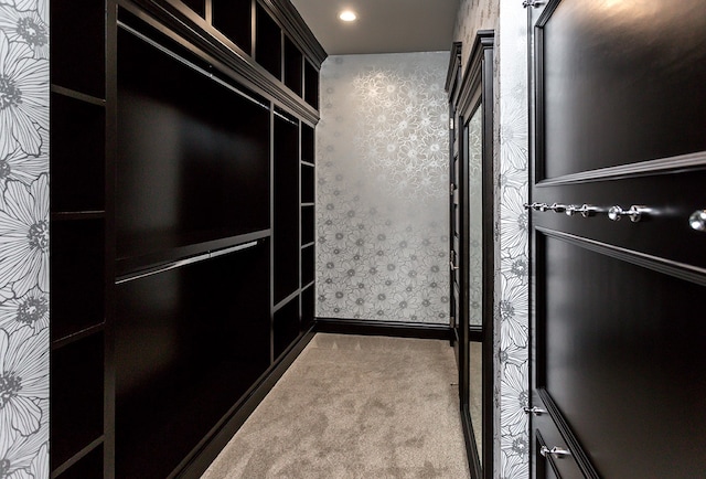 spacious closet with carpet