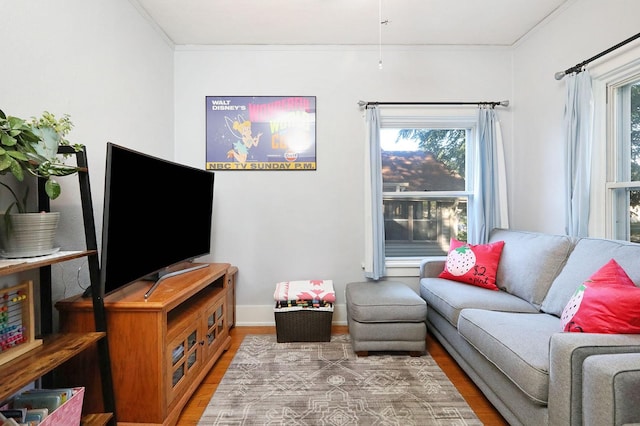 living room featuring wood-type flooring and crown molding