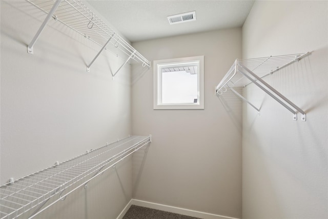 805 3rd St NW, Bondurant, IA 50035 - view of walk in closet
